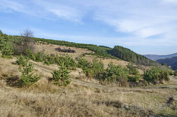 林间空地和晚秋天的树林在维托沙山全景