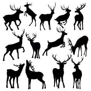 黑鹿图片-黑鹿素材-黑鹿插画-摄图新视界