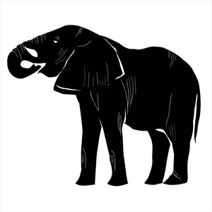 颜色抽象大象照片