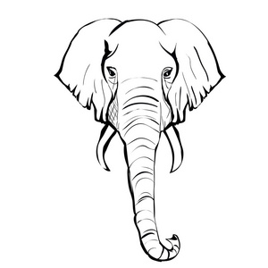 大象的颜色图片