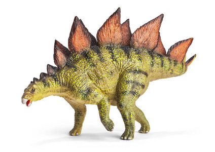 丛林秘境剑龙,装甲恐龙属照片