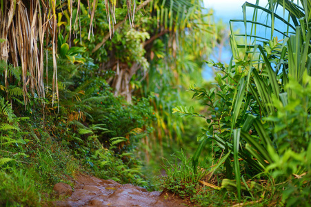 Na Pali 海岸沿线走卡拉劳步道