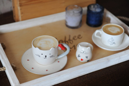 在杯中的猫图片