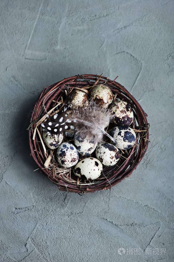 原料鹌鹑蛋在窝里