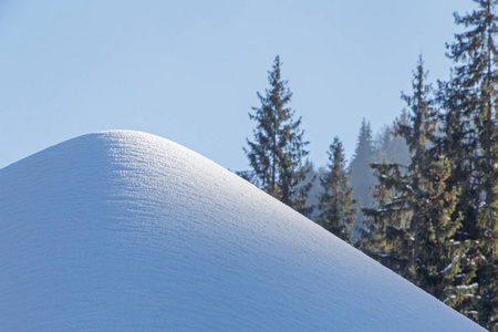 森林里的一堆雪