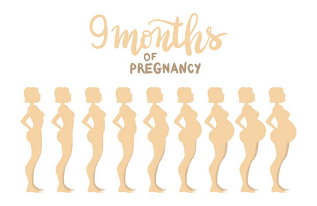 怀孕 9 个月的阶段。女人的侧面图。卡通矢量 il