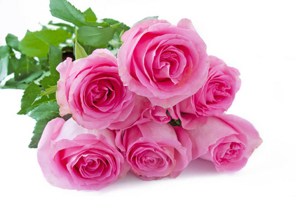 粉色玫瑰束美丽