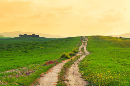 托斯卡纳风景 美丽的绿色山丘春天日出