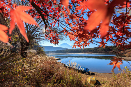 山富士在秋天