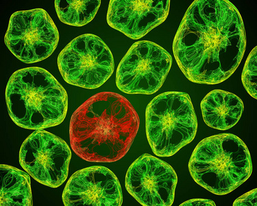 微生物活幼虫图片