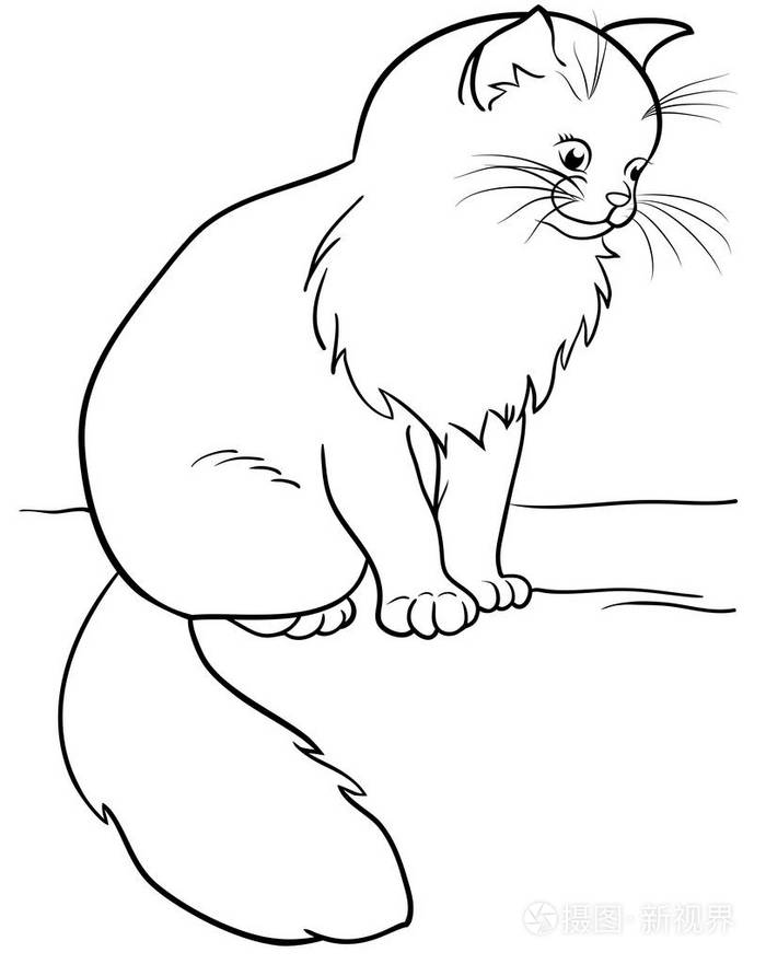 小小猫坐在蓝色眼睛矢量图 eps 10插画-正版商用图片0xlvt8-摄图新