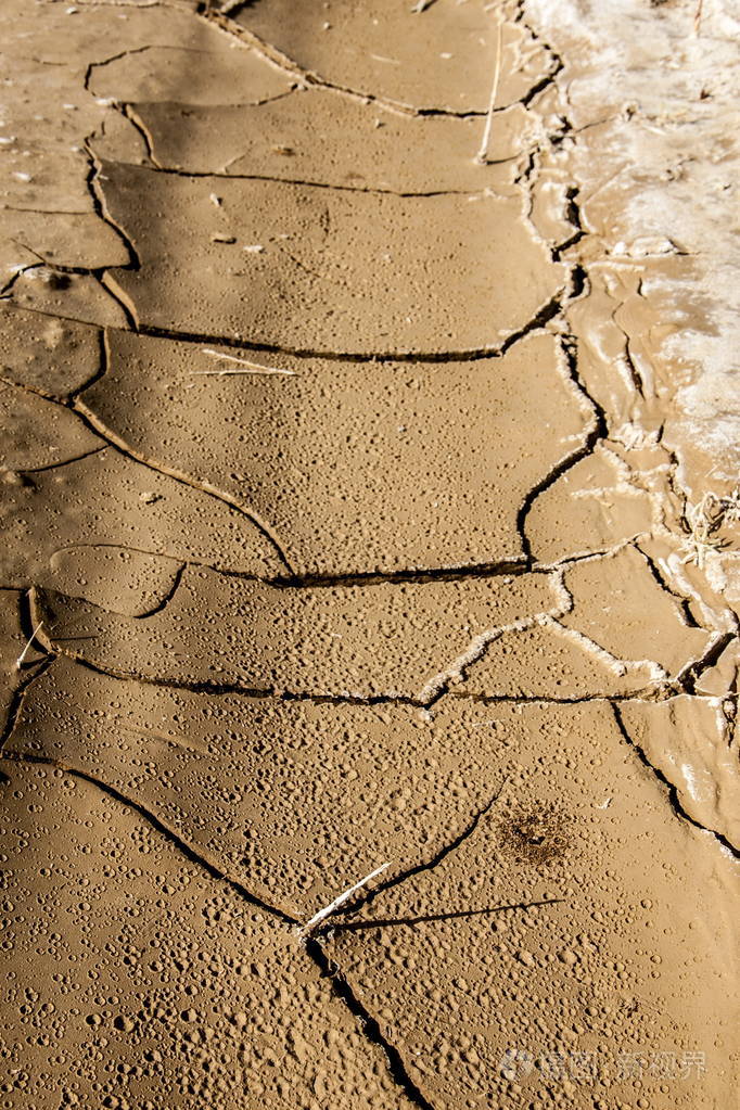地面裂缝的纹理地球在明亮的太阳下裂开了
