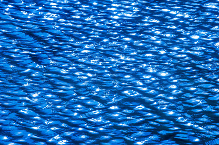 s reflection. The blue water swimming pool with sun reflections