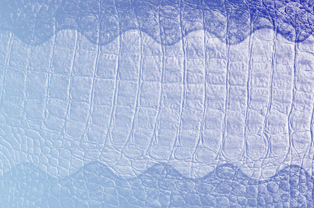 皮肤鳄鱼黑色。 纹理。 摄影工作室