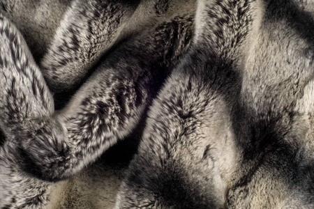 兔子皮毛纹理背景. 长耳朵长后腿和短尾巴的哺乳动物.照片