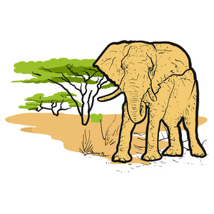 大象在萨凡纳彩色插图