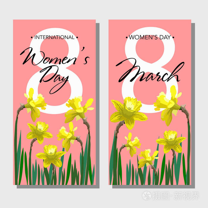 3月 8 日设计名片水仙的花.国际妇女日背景.矢量图