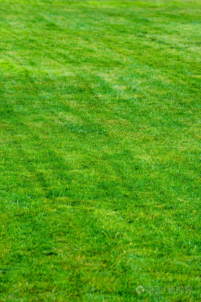 纹理背景修剪草坪修剪过的草坪绿色花园里的游乐场公园林荫大道上的