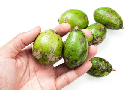 麦苹果找福利图片