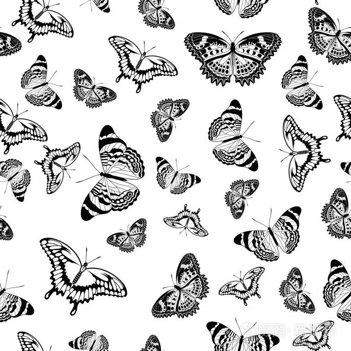 黑色和白色矢量蝴蝶纹理插画-正版商用图片0xmccz-摄图新视界