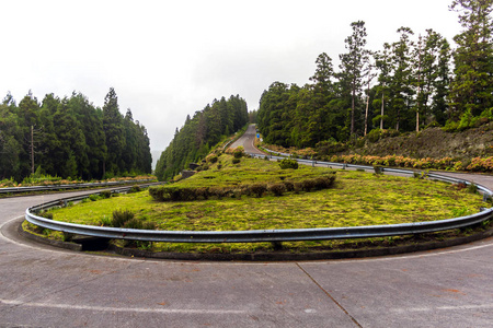 景区道路上岛圣米格尔，亚速尔群岛，葡萄牙