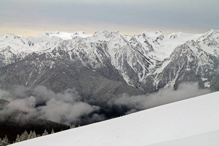 白雪皑皑的山外雪原