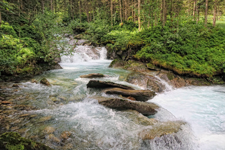 流经欧洲阿尔卑斯山欧洲松树林的格洛斯里文