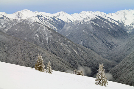 白雪皑皑的山外雪原