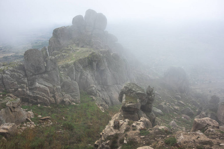 孟山都公司山