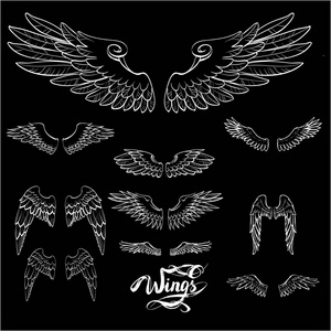 天使翅膀矢量元素图片-天使翅膀矢量元素素材-天使翅膀矢量元素插画