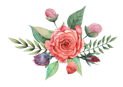 水彩手绘清新花卉组合素材-水彩手绘清新花卉组合插画-摄图新视界