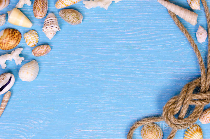 夏季背景由贝壳和海事对象