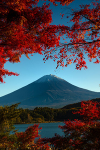 富士山秋天