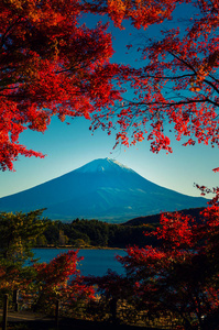 富士山秋天