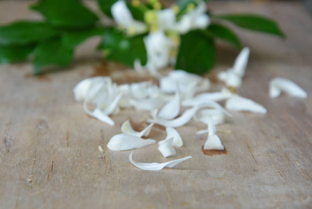 橙色的茉莉花木板上的橙色茉莉花花瓣照片