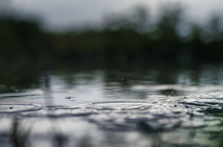 水下射击的草和植物淹没在清澈的水，有很多的 airbubbles 和反射在地下