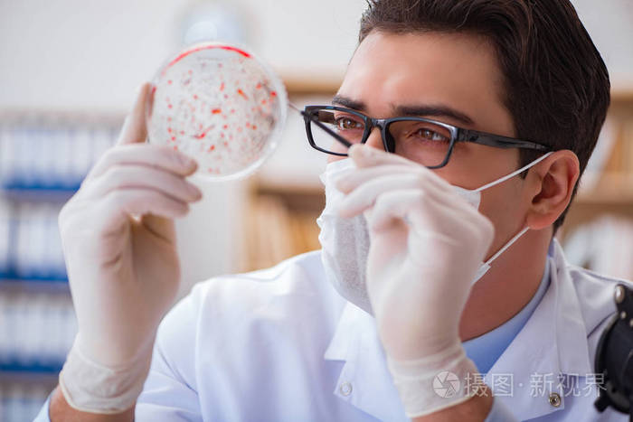 研究在实验室中的细菌的医生