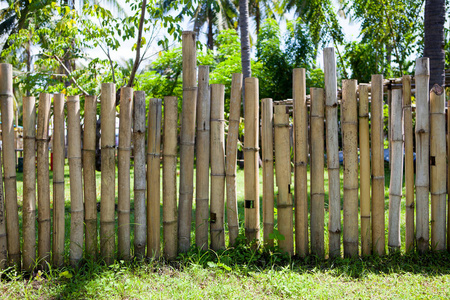 老竹老竹篱笆在一个热带的国家.纹理背景照片