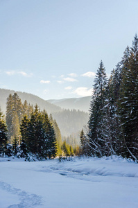 冬天的山风景, 冰冻的河流覆盖着雪的流动