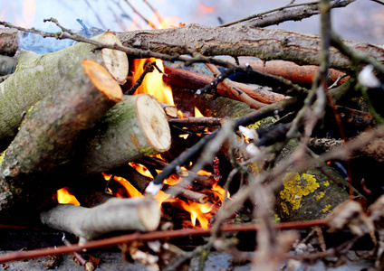 在火盆里燃烧的木柴。消防