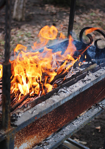 在火盆里燃烧的木柴。消防