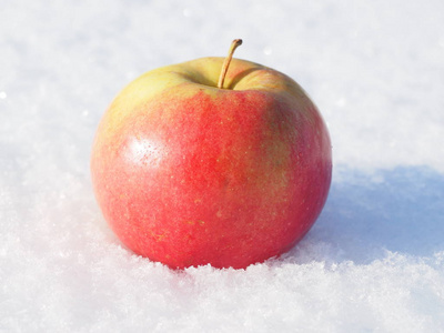 雪上的苹果。 冬天