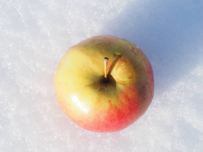 雪上的苹果。 冬天