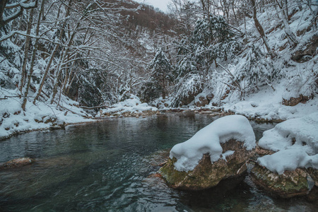 高山在冬天雪下