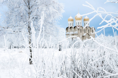 冬天有树和雪的教堂