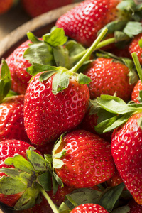 原料的有机的红色的成熟的草莓