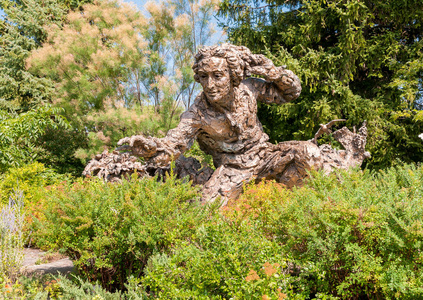 卡尔  林奈在美国芝加哥植物园的青铜雕塑