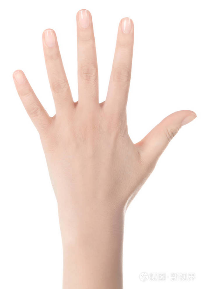 打开 pal照片-正版商用图片0xoi6c-摄图新视界