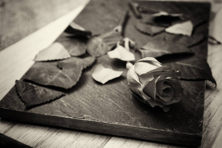 把切碎的玫瑰在一块石板上