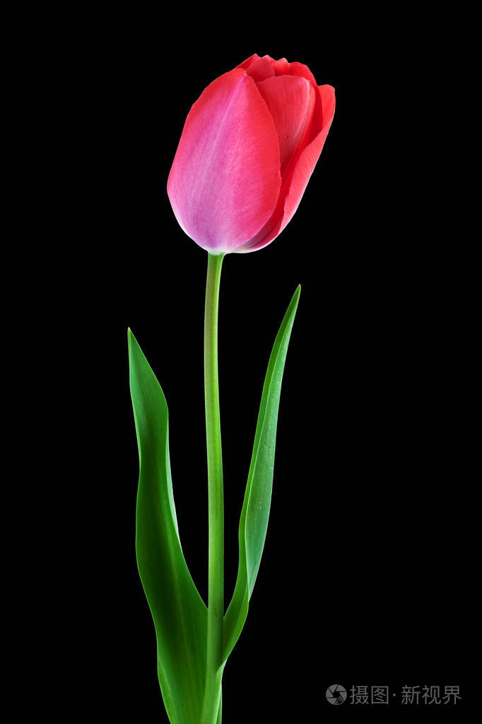 682_1023竖版 竖屏